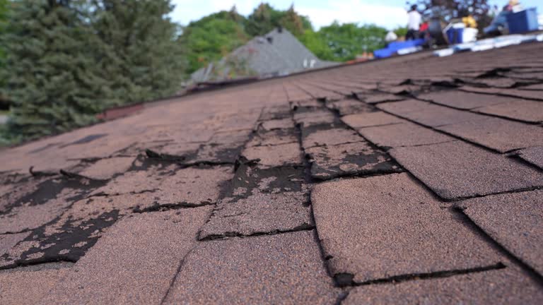 Best Roof Inspection  in USA